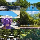 西安旅游 缩略图 3