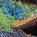 北京旅游 缩略图 13
