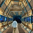 丽水旅游 缩略图 10