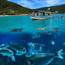 热浪岛旅游 缩略图 4