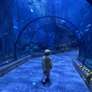 舟山旅游 缩略图 5