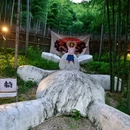 湖州旅游 缩略图 11