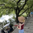黄山旅游 缩略图 8