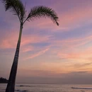 广州旅游 缩略图 15