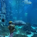舟山旅游 缩略图 12