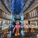舟山旅游 缩略图 8