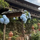 普洱旅游 缩略图 4