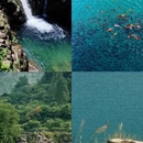 东莞旅游 缩略图 5