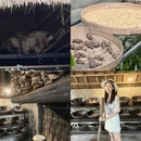 登巴萨旅游 缩略图 8
