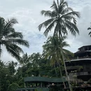 登巴萨旅游 缩略图 9