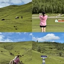 临夏州旅游 缩略图 4
