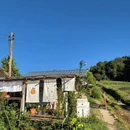 清迈旅游 缩略图 17