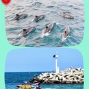 天津旅游 缩略图 7