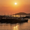温州旅游 缩略图 13