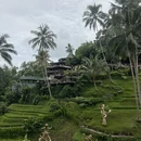 登巴萨旅游 缩略图 4