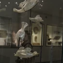 巴黎旅游 缩略图 6