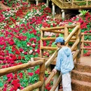 本溪旅游 缩略图 6