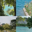 东莞旅游 缩略图 3