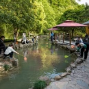 杭州旅游 缩略图 10