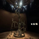 成都旅游 缩略图 7