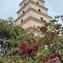西安旅游 缩略图 9