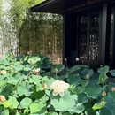 武汉旅游 缩略图 17