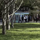 西安旅游 缩略图 12