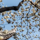 上海旅游 缩略图 5