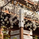 上海旅游 缩略图 4
