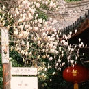 上海旅游 缩略图 12