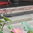 上海旅游 缩略图 11