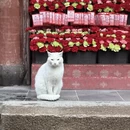 上海旅游 缩略图 4