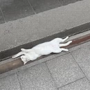 上海旅游 缩略图 4