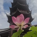 上海旅游 缩略图 18