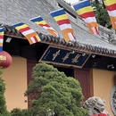 上海旅游 缩略图 8