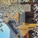 上海旅游 缩略图 4