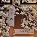 上海旅游 缩略图 8