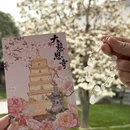 西安旅游 缩略图 8