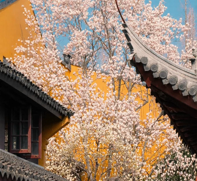 上海旅游 1