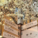上海旅游 缩略图 2