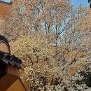 上海旅游 缩略图 5