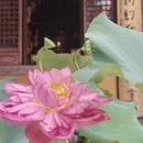 上海旅游 缩略图 6
