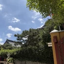 上海旅游 缩略图 7