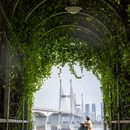 武汉旅游 缩略图 7