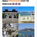 南京旅游 缩略图 3