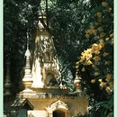 莫里瀑布 - 德宏傣族景颇族自治州旅游 缩略图 2