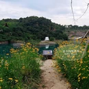 黄龙山矿址公园 - 无锡市旅游 缩略图 17