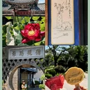 建水古城 - 红河哈尼族彝族自治州旅游 缩略图 14