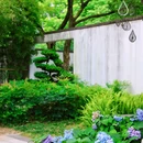 绿岛公园-宁波园林博物馆 - 宁波市旅游 缩略图 5