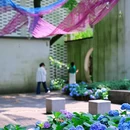 绿岛公园-宁波园林博物馆 - 宁波市旅游 缩略图 2